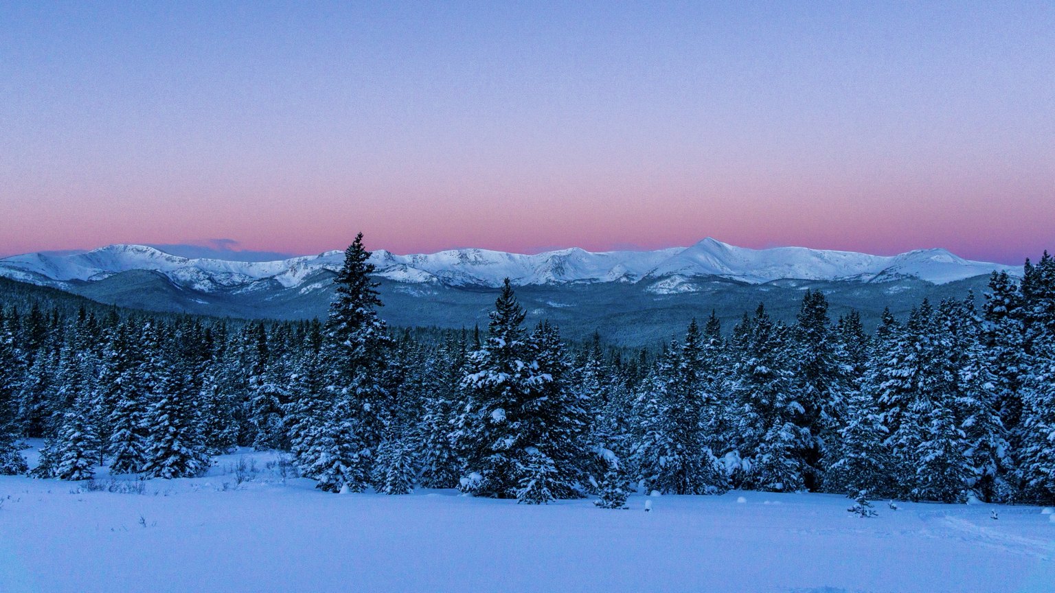 Pink sunrise over snow-covered forest and mountains at Tennessee Pass